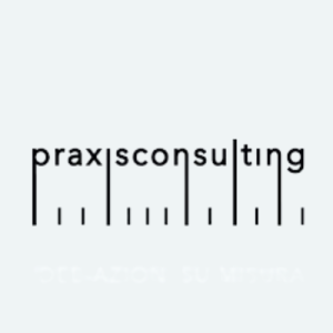 Logo-Praxis-Consulting